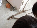 DSCN9007.jpg