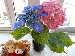 DSCN9418.jpg