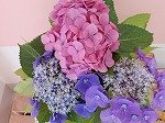 DSCN0800.jpg