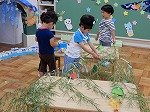 DSCN1392.jpg