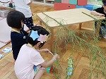 DSCN1403.jpg