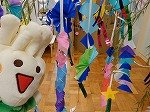 DSCN1574.jpg