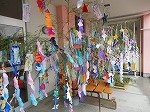 DSCN1575.jpg