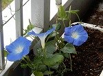 DSCN2024.jpg