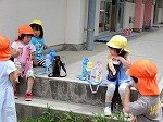 DSCN2330.jpg