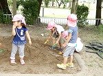 DSCN2331.jpg