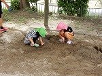 DSCN2332.jpg