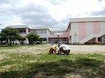 DSCN2311.jpg