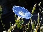 DSCN2491.jpg