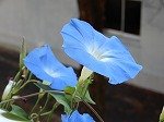DSCN2492.jpg