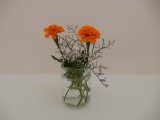 DSCN2517.JPG