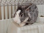 DSCN3036.jpg