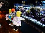 DSCN6249.jpg