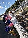 IMG_3972.jpg