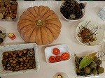 DSCN8207.jpg