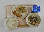 DSCN8229.jpg