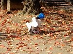 DSCN8854.jpg