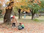 DSCN8955.jpg