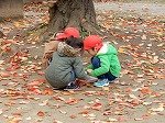 DSCN8956.jpg