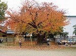 DSCN8996.jpg