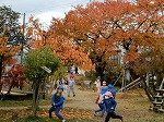 DSCN9141.jpg