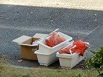 DSCN9298.jpg