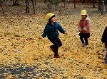 DSCN9604.jpg