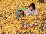 DSCN9614.jpg