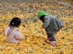 DSCN9678.jpg