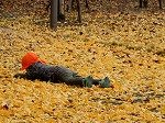 DSCN9699.jpg
