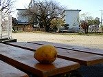 DSCN9904.jpg