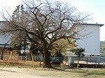 DSCN9905.jpg