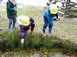 DSCN8229.jpg