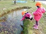 DSCN8267.jpg