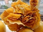 DSCN8399.jpg