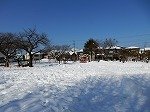 DSCN0116.jpg