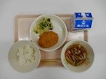 DSCN0283.jpg