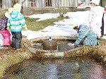 DSCN0295.jpg