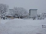 DSCN9680.jpg