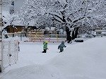 DSCN9713.jpg