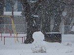 DSCN9445.jpg