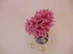 DSCN0745.jpg