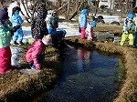 DSCN8492.jpg