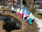 DSCN8537.jpg