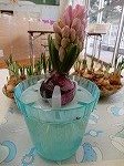 DSCN9200.jpg