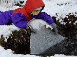 DSCN9223.jpg