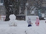 DSCN9439.jpg