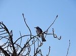 DSCN9609.jpg