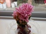 DSCN9854.jpg