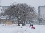 DSCN9442.jpg